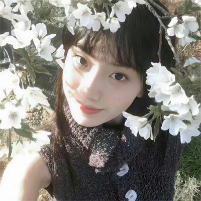 我亲爱的朋友们
